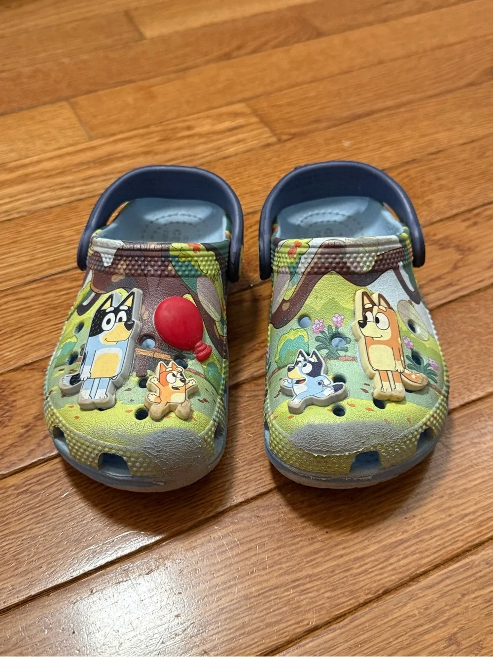 Bluey Cartoon Slip-On Clogs crocs C9